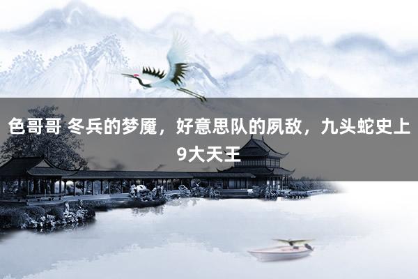 色哥哥 冬兵的梦魇，好意思队的夙敌，九头蛇史上9大天王