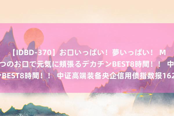 【IDBD-370】お口いっぱい！夢いっぱい！ MEGAマラ S級美女達が二つのお口で元気に頬張るデカチンBEST8時間！！ 中证高端装备央企信用债指数报162.31点