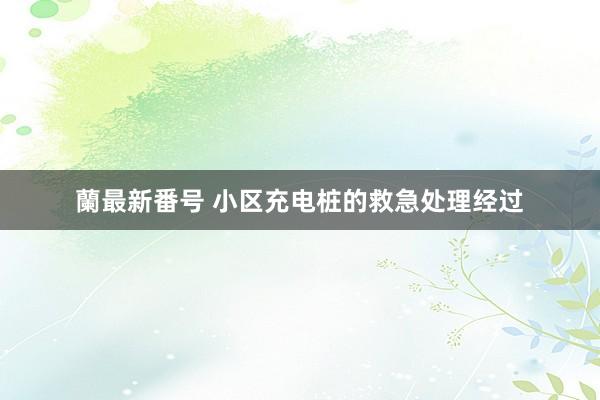 蘭最新番号 小区充电桩的救急处理经过