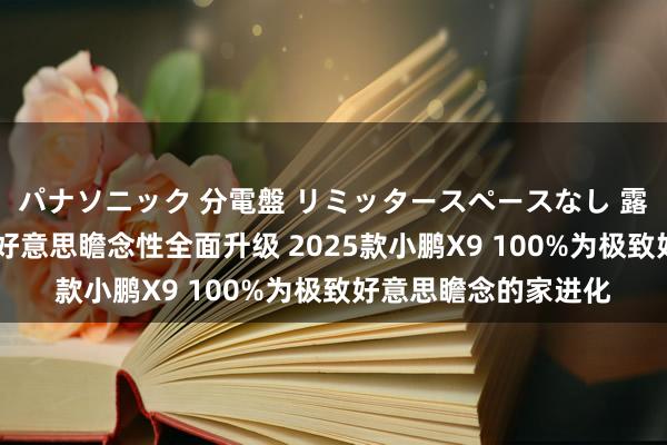 パナソニック 分電盤 リミッタースペースなし 露出・半埋込両用形 好意思瞻念性全面升级 2025款小鹏X9 100%为极致好意思瞻念的家进化