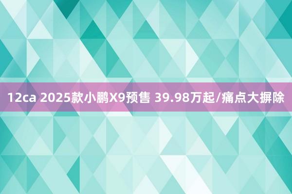 12ca 2025款小鹏X9预售 39.98万起/痛点大摒除