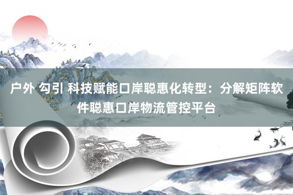 户外 勾引 科技赋能口岸聪惠化转型：分解矩阵软件聪惠口岸物流管控平台