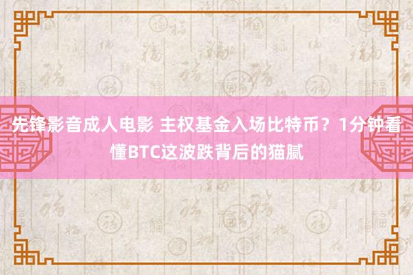 先锋影音成人电影 主权基金入场比特币？1分钟看懂BTC这波跌背后的猫腻