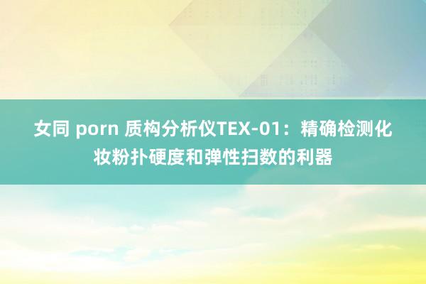 女同 porn 质构分析仪TEX-01：精确检测化妆粉扑硬度和弹性扫数的利器