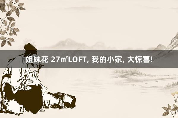 姐妹花 27㎡LOFT， 我的小家， 大惊喜!