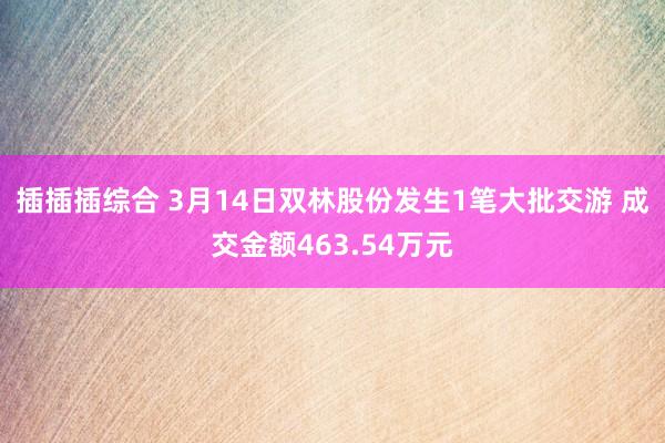 插插插综合 3月14日双林股份发生1笔大批交游 成交金额463.54万元