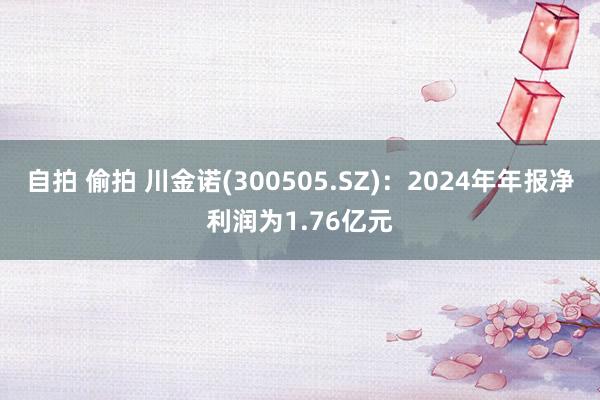 自拍 偷拍 川金诺(300505.SZ)：2024年年报净利润为1.76亿元