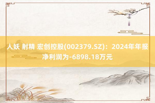 人妖 射精 宏创控股(002379.SZ)：2024年年报净利润为-6898.18万元