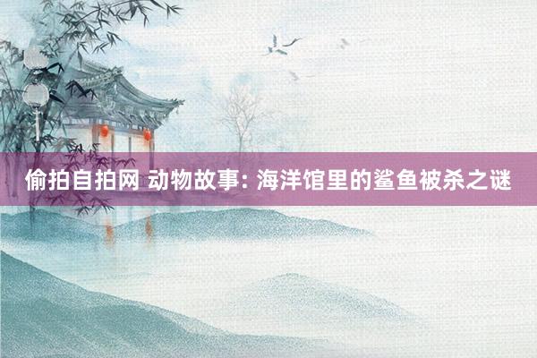 偷拍自拍网 动物故事: 海洋馆里的鲨鱼被杀之谜