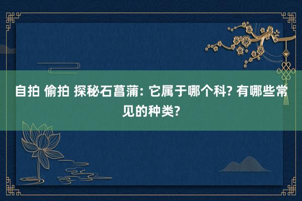 自拍 偷拍 探秘石菖蒲: 它属于哪个科? 有哪些常见的种类?