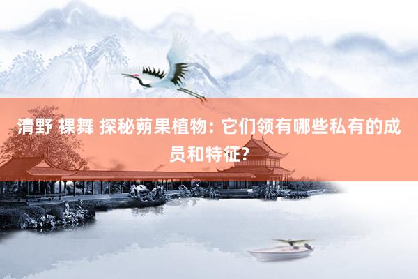 清野 裸舞 探秘蒴果植物: 它们领有哪些私有的成员和特征?