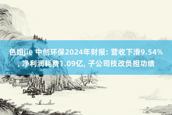色姐jie 中创环保2024年财报: 营收下滑9.54%， 净利润耗费1.09亿， 子公司技改负担功绩