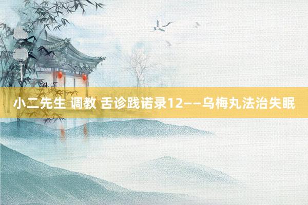 小二先生 调教 舌诊践诺录12——乌梅丸法治失眠