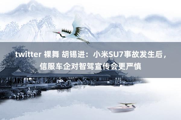 twitter 裸舞 胡锡进：小米SU7事故发生后，信服车企对智驾宣传会更严慎