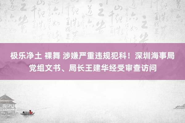 极乐净土 裸舞 涉嫌严重违规犯科！深圳海事局党组文书、局长王建华经受审查访问
